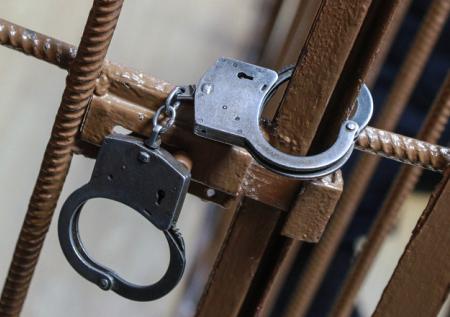 Замок задержанного российского бизнесмена в Ереване попал на видео